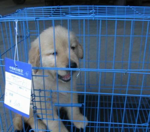 義烏到泰國(guó)物流專(zhuān)線